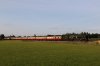 207A1003 - Copy.JPG