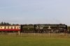 207A1012 - Copy.JPG