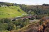 601063 Horsfall.jpg