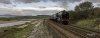 CCE 46115 3b.jpg