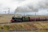 45562 (21) Shap Wells-fbook.jpg