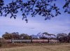 2020-10-09-0017_DxO-Edit.jpg