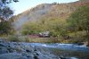 Welsh Pony in the Pass.JPG