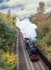 DSC_6459 45231 Snedshill 201020.jpg