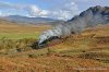 DSC_6532.JPG