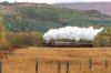 _DSC3676.jpg