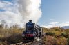 _DSC3750.jpg
