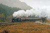 _DSC3763.jpg