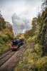0X0A3701-1 45407 Beasdale 22-10-2020 Dave Collier.jpg