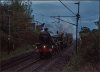 45596-LE-WCML-03Nov20-©PAFIN.jpg