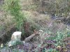 image10.jpeg