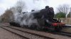 S2640082.JPG