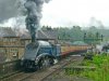 DSCF1537.jpg