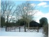 BB Feb 11 2021 1 corrected.jpg