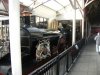 DSCF3513.JPG