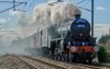 _DSC3180 1.jpg