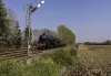62006 1b.jpg