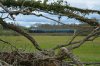 DSC_2736.JPG