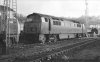 69-009 001.jpg