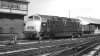 69-003 001.jpg
