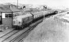 69-029 001.jpg