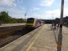 DSC00585  43274 Purple one.JPG