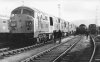 71-003 001.jpg
