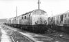 71-037 001.jpg