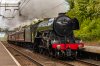 _D4_1712-Edit.jpg