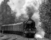 _DSC1781-Edit.jpg