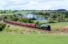 _DSC1815-Edit.jpg