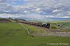 _DSC2338_01 edit.jpg