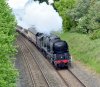 Braunton 25-05-21 022_00005 - Copy.jpg