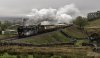 Braunton 1b.jpg