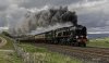 Braunton 2b.jpg