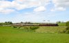 _DSC1868-Edit.jpg