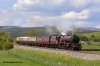 DSC_10737.jpg