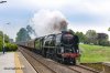 DSC_10894.jpg