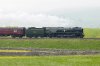 ASG_2082-fbook.jpg