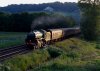 DSC01757a.jpg