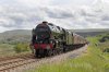 Scots-Guardsman-(19)-fbook.jpg