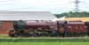 _DSC6260 1.jpg