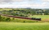 _DSC1919-Edit.jpg
