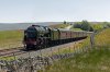 Scots-Guardsman-(10)-fbook.jpg