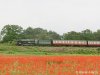 IMG_9227_lzn copya.jpg