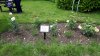 20210626_135024 - Copy.jpg