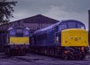 ST0669.jpg