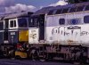 ST0503.jpg