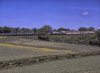 ST1537.jpg