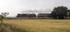 21D_0824 45231 & class 47 Walcot 210721.jpg